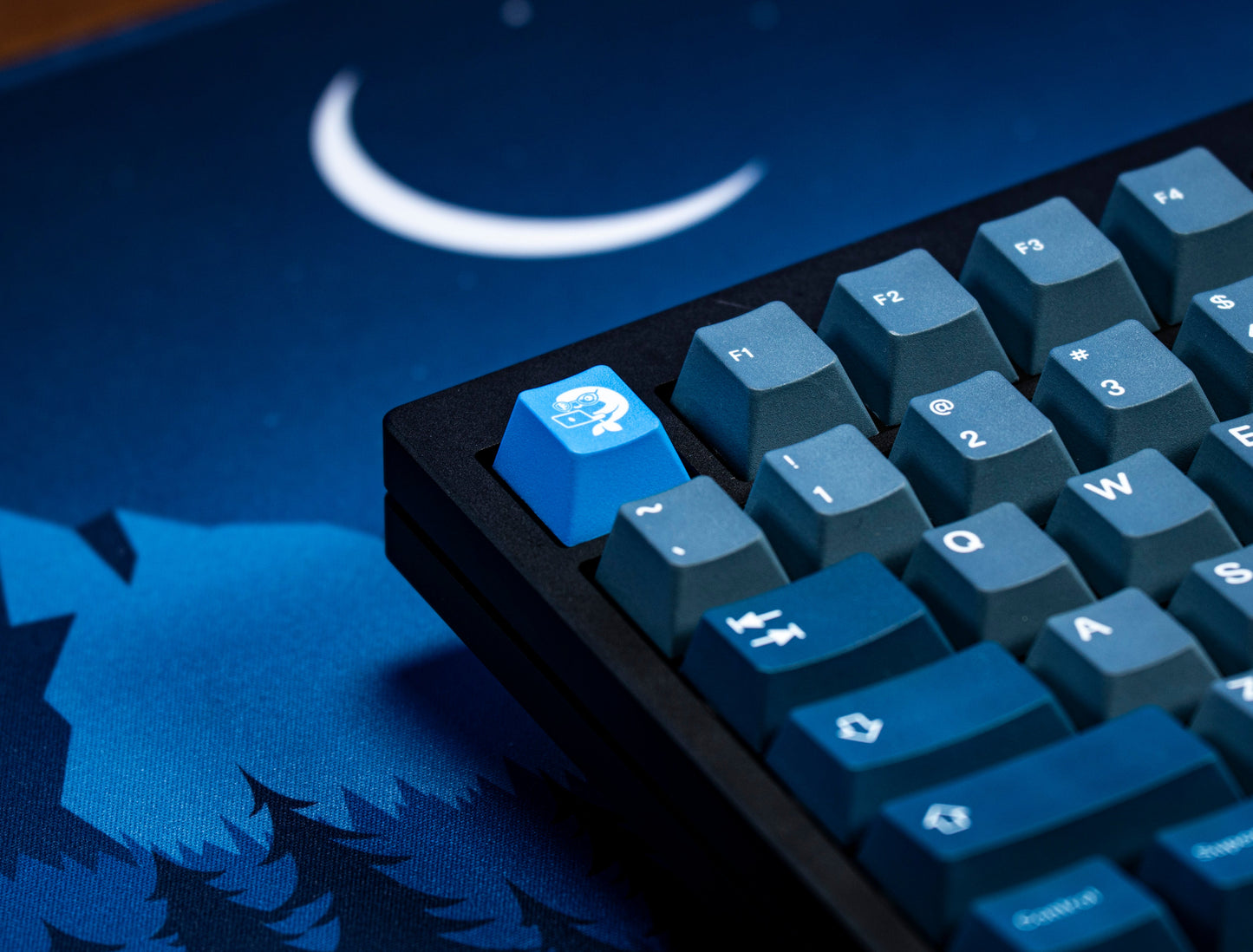 Whale PBT Keycaps V4